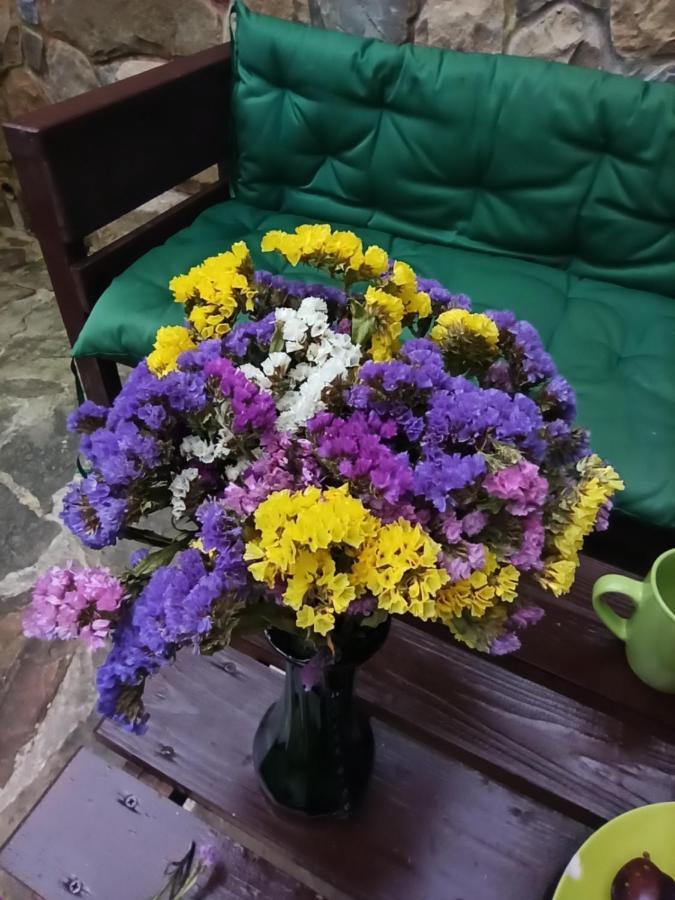 Котедж "Солард" Yaremche Dış mekan fotoğraf